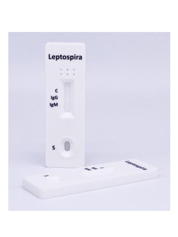 Leptospira IgG/IgM Rapid Test Cassette (Whole Blood/Serum/Plasma) With CE